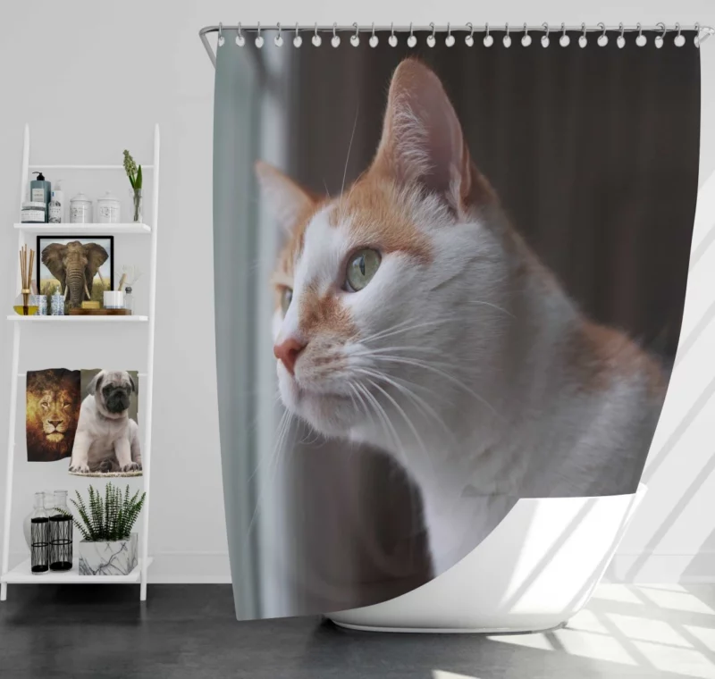 Cat Inquisitive Stance Shower Curtain