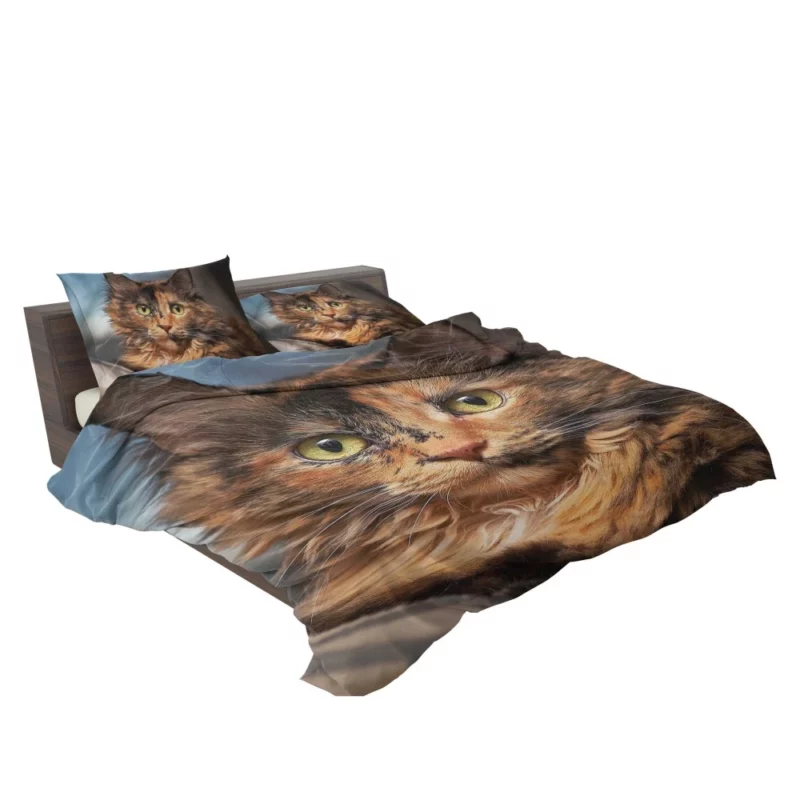 Cat Intense Stare Close-Up Beauty Bedding Set 2