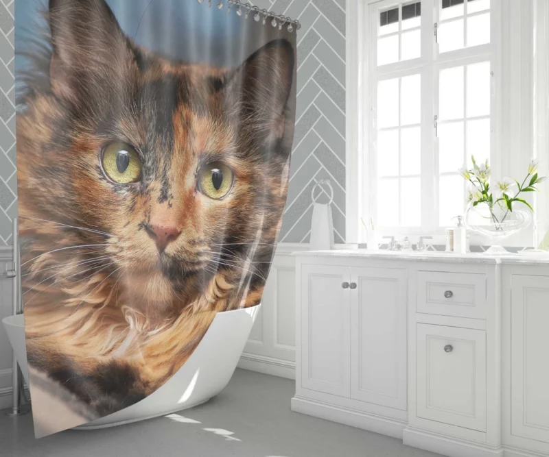 Cat Intense Stare Close-Up Beauty Shower Curtain 1