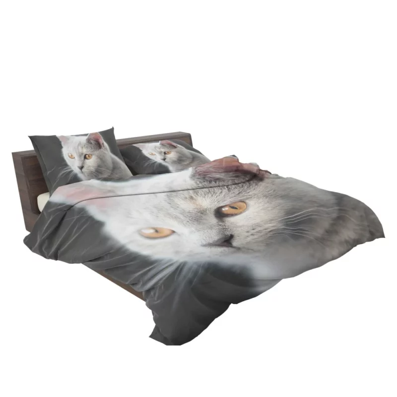 Cat Intriguing Gaze Mysterious Charisma Bedding Set 2