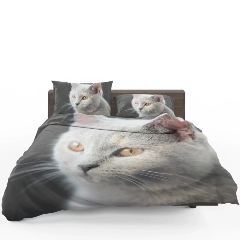 Cat Intriguing Gaze Mysterious Charisma Bedding Set