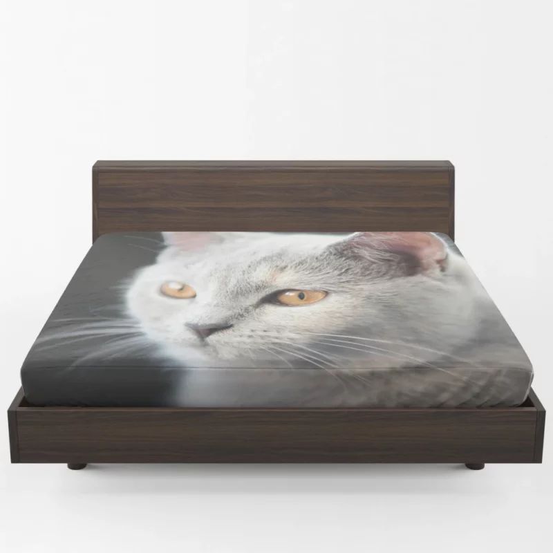 Cat Intriguing Gaze Mysterious Charisma Fitted Sheet