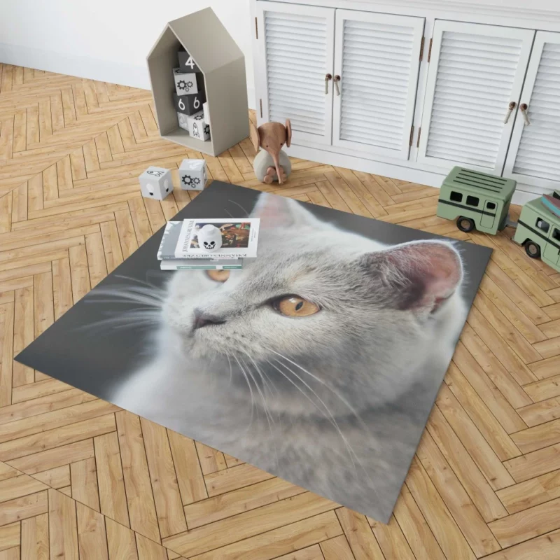 Cat Intriguing Gaze Mysterious Charisma Rug 1