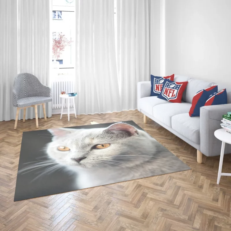 Cat Intriguing Gaze Mysterious Charisma Rug 2