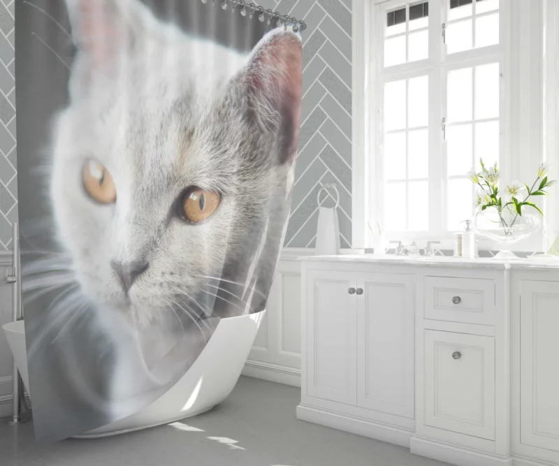 Cat Intriguing Gaze Mysterious Charisma Shower Curtain 1