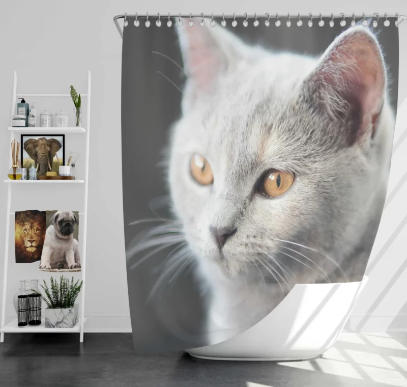 Cat Intriguing Gaze Mysterious Charisma Shower Curtain