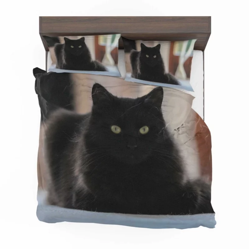 Cat Intriguing Presence Feline Majesty Bedding Set 1