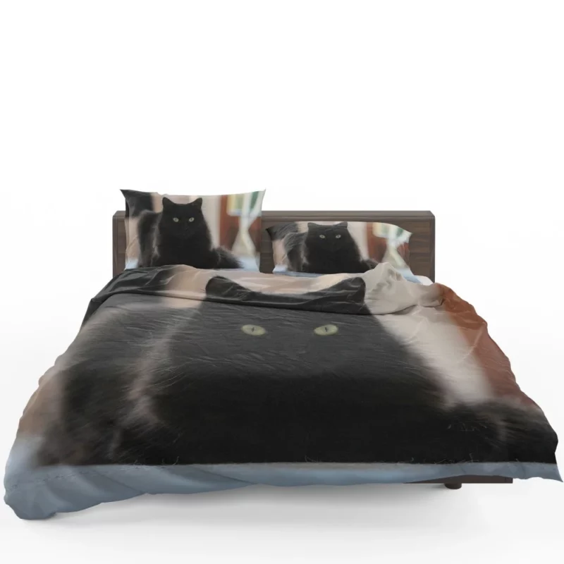 Cat Intriguing Presence Feline Majesty Bedding Set