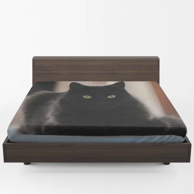 Cat Intriguing Presence Feline Majesty Fitted Sheet