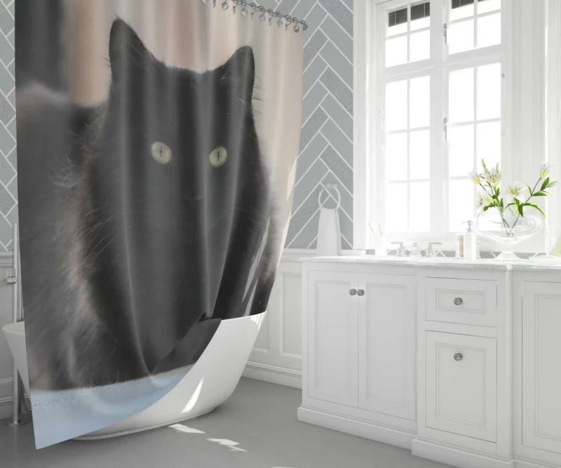 Cat Intriguing Presence Feline Majesty Shower Curtain 1