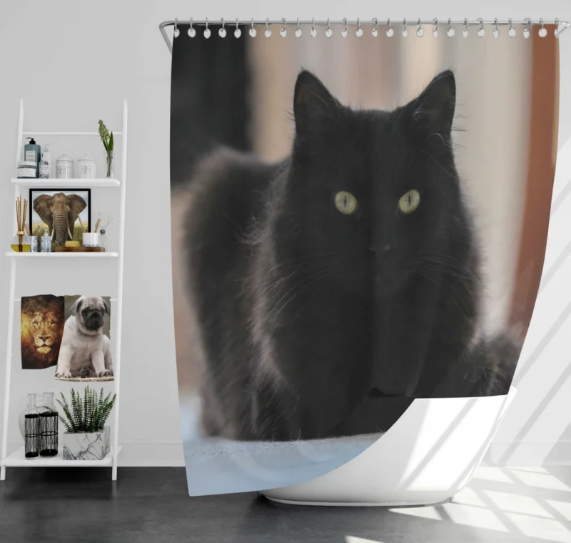 Cat Intriguing Presence Feline Majesty Shower Curtain