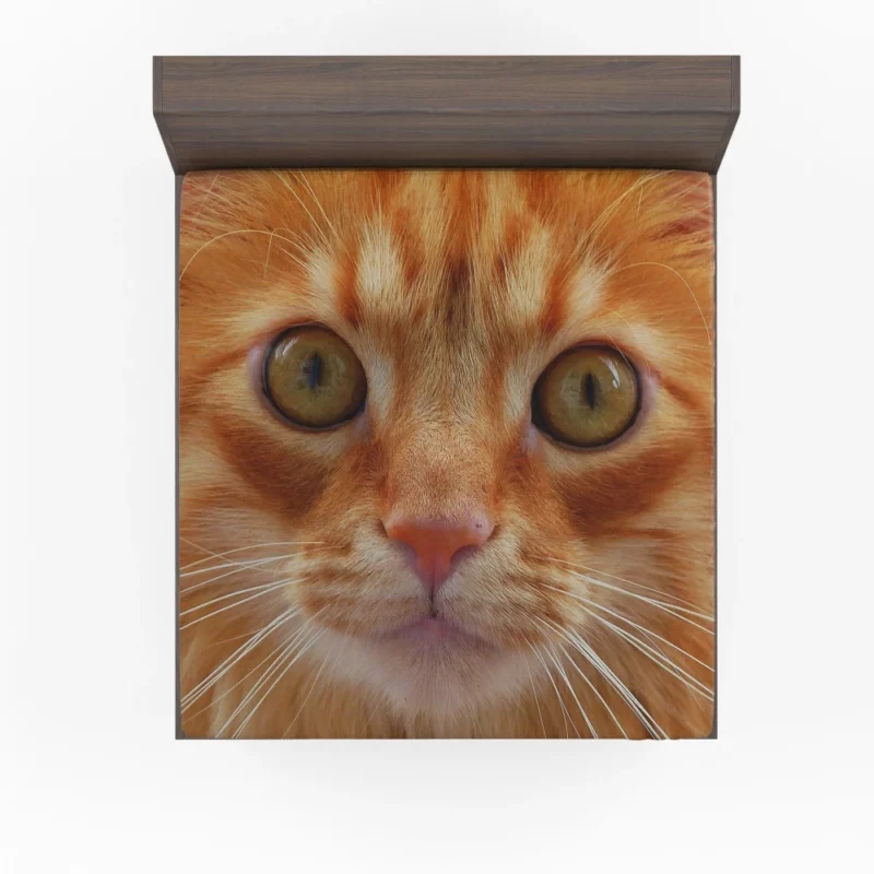 Cat Intriguing Stare Feline Curiosity Fitted Sheet 1