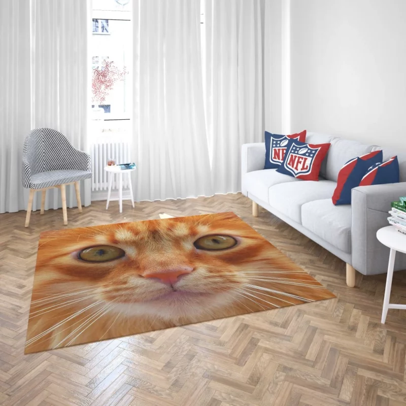 Cat Intriguing Stare Feline Curiosity Rug 2