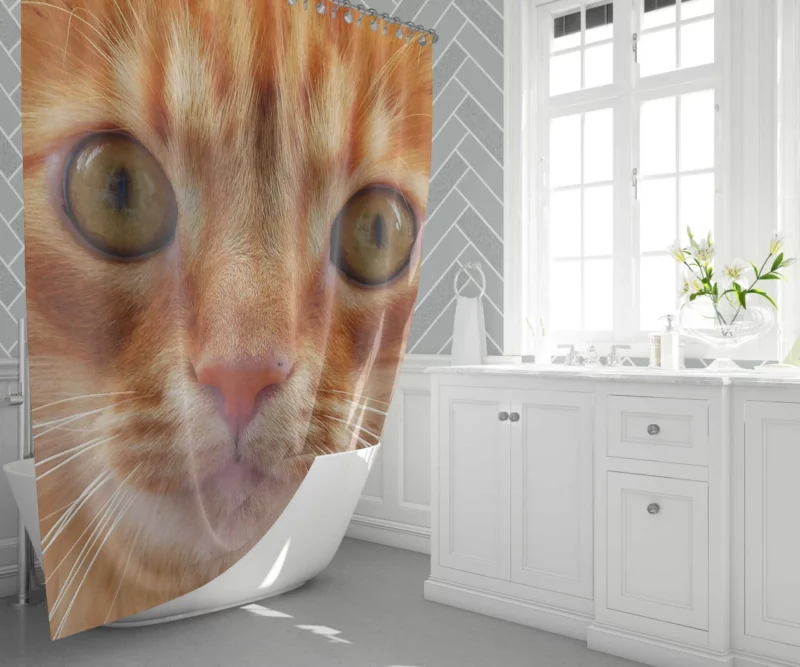 Cat Intriguing Stare Feline Curiosity Shower Curtain 1