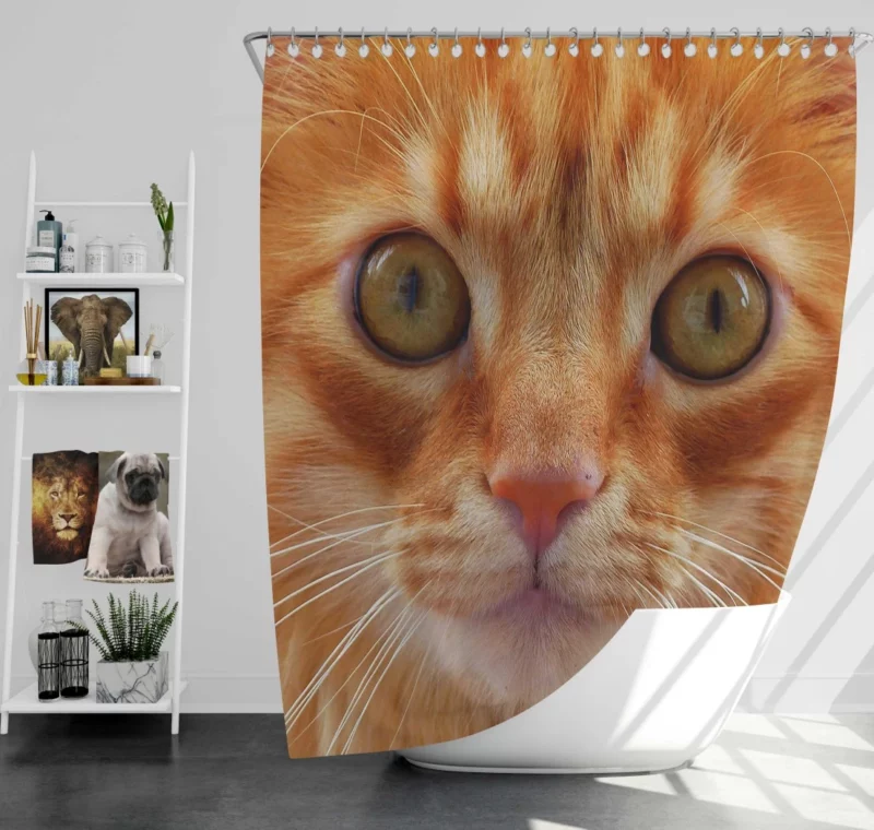 Cat Intriguing Stare Feline Curiosity Shower Curtain