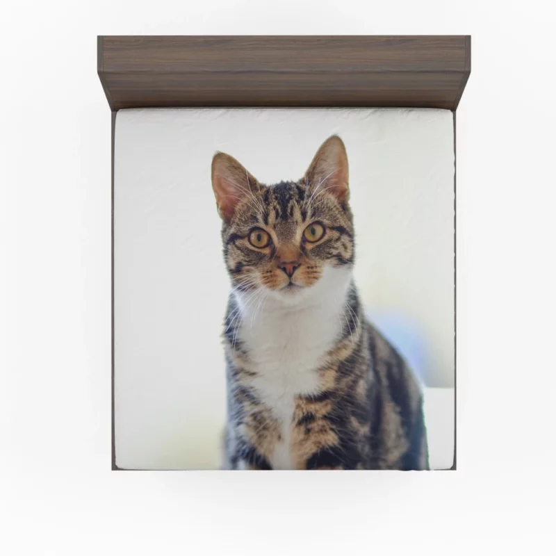 Cat Introspective Stare Silent Wisdom Fitted Sheet 1