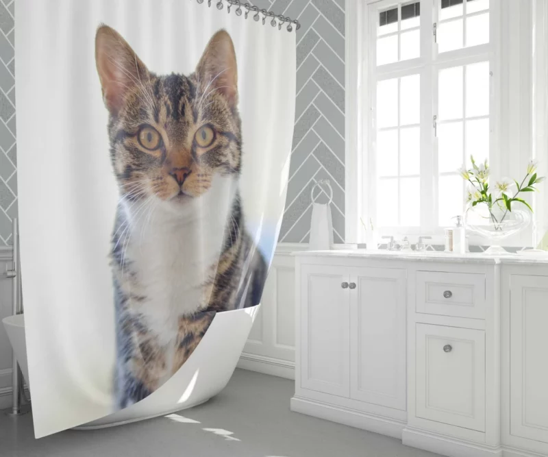 Cat Introspective Stare Silent Wisdom Shower Curtain 1