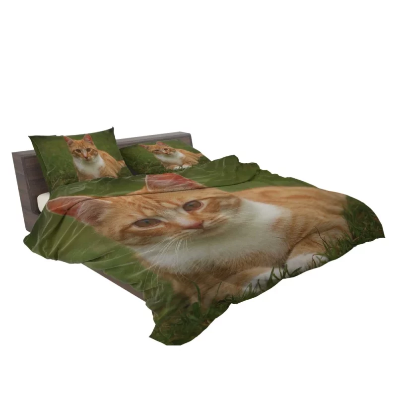 Cat Mesmerizing Eyes Enchanting Stare Bedding Set 2