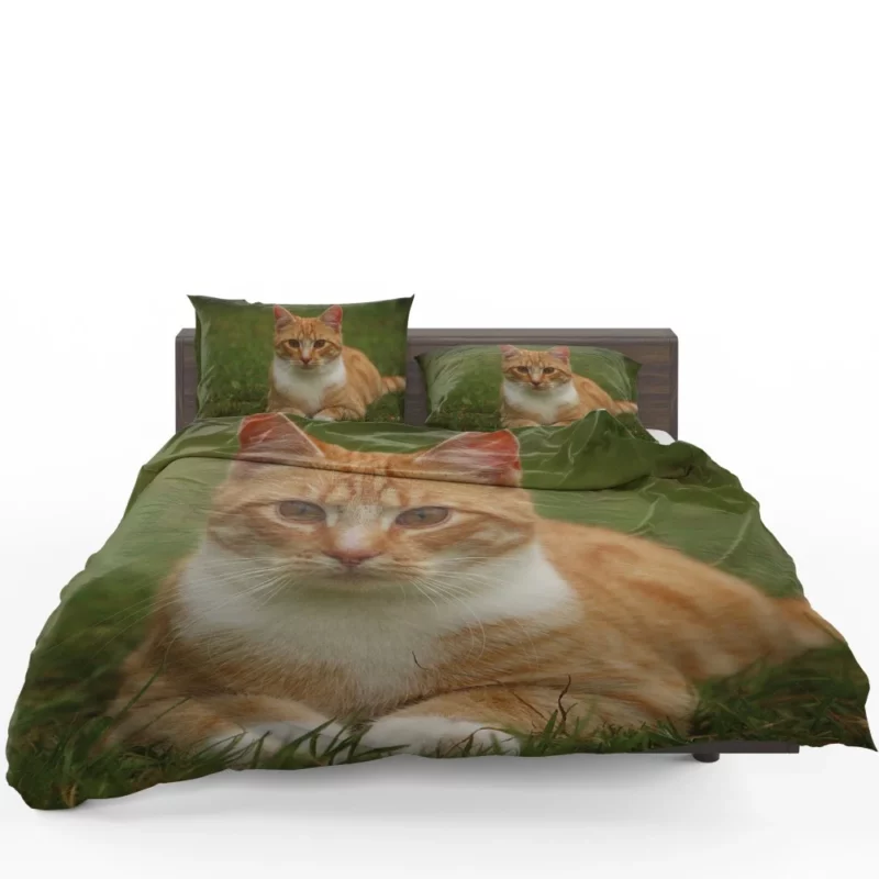 Cat Mesmerizing Eyes Enchanting Stare Bedding Set