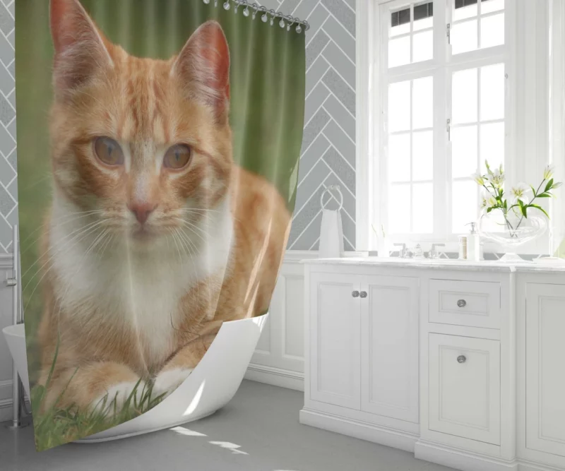 Cat Mesmerizing Eyes Enchanting Stare Shower Curtain 1