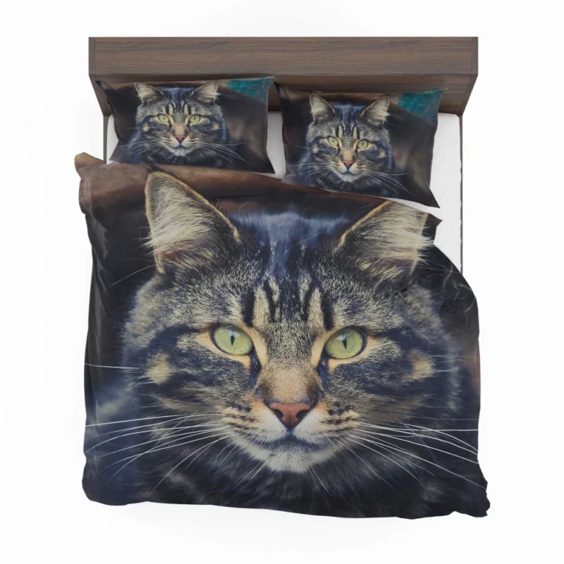 Cat Mesmerizing Stare Feline Enigma Bedding Set 1