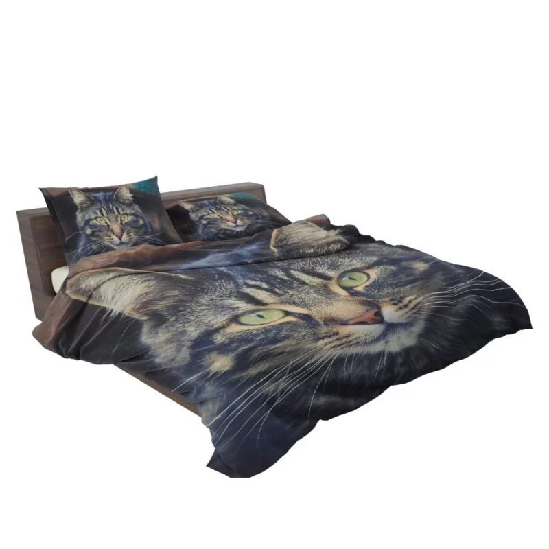 Cat Mesmerizing Stare Feline Enigma Bedding Set 2