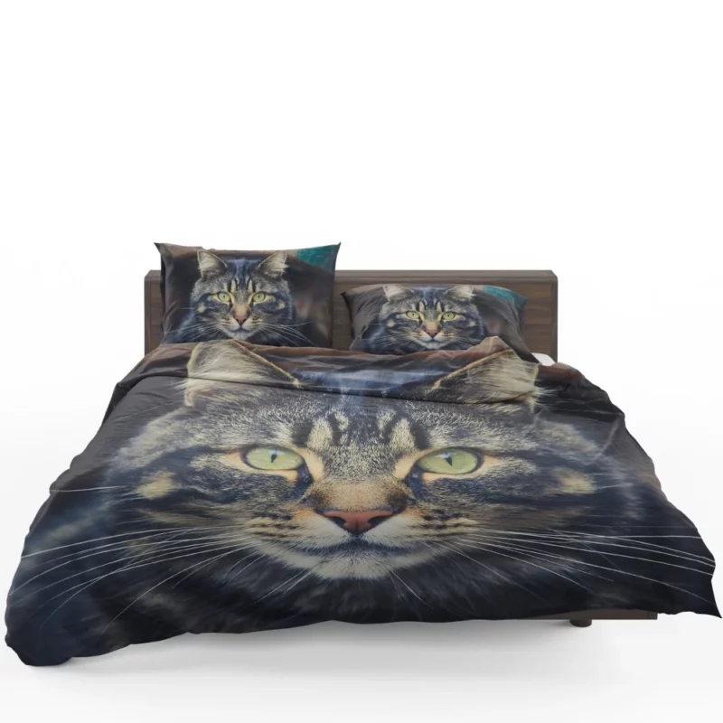 Cat Mesmerizing Stare Feline Enigma Bedding Set