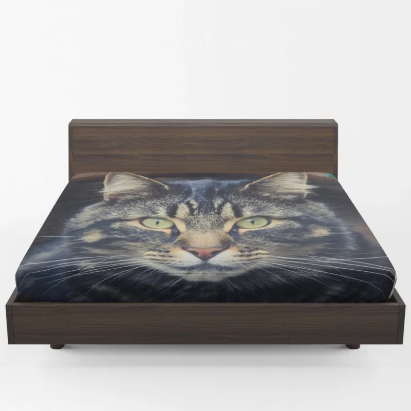 Cat Mesmerizing Stare Feline Enigma Fitted Sheet