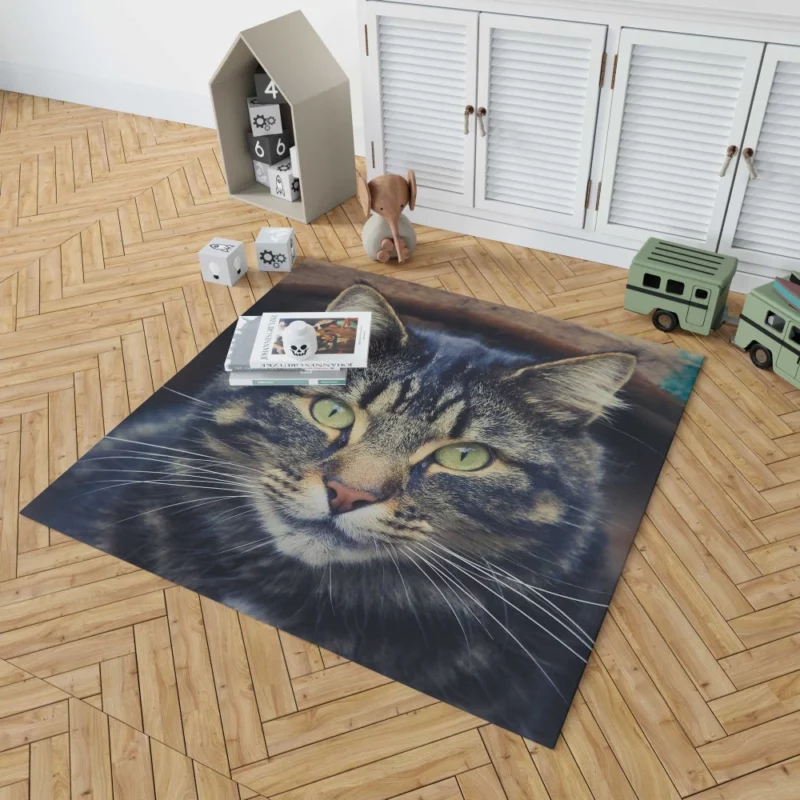 Cat Mesmerizing Stare Feline Enigma Rug 1