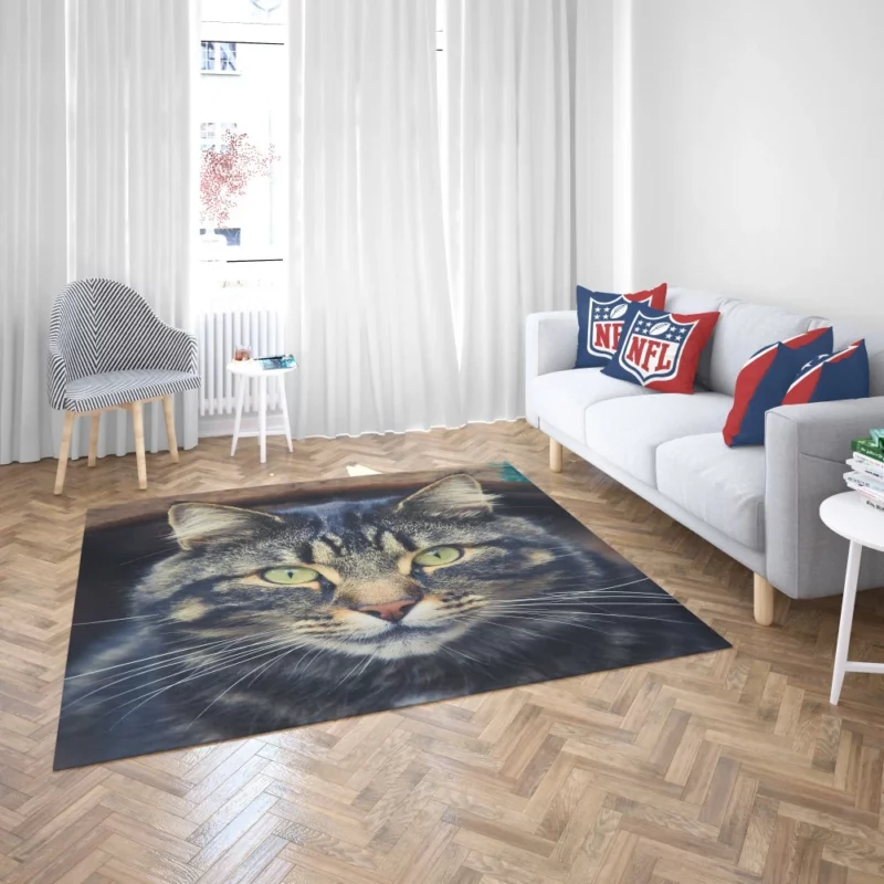 Cat Mesmerizing Stare Feline Enigma Rug 2