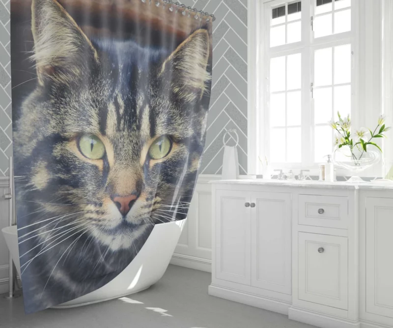 Cat Mesmerizing Stare Feline Enigma Shower Curtain 1