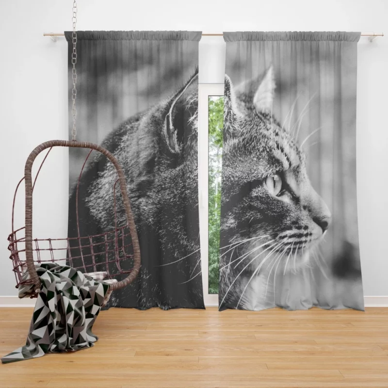 Cat Monochrome Intrigue Feline Charisma Curtain