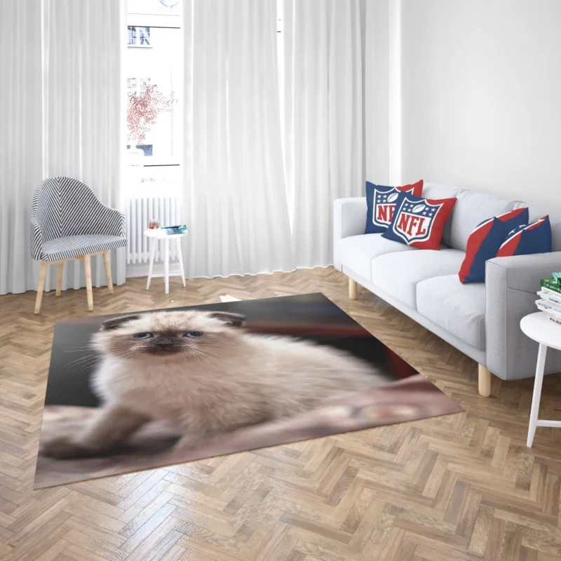 Cat Mysterious Aura Rug 2