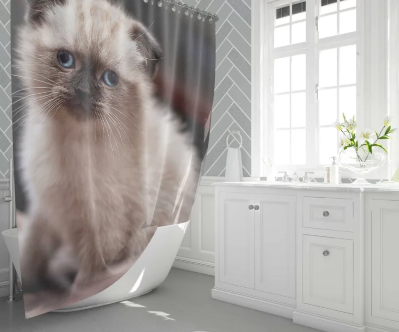 Cat Mysterious Aura Shower Curtain 1