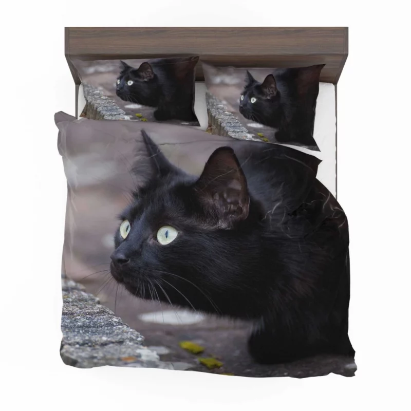 Cat Mysterious Gaze Bedding Set 1