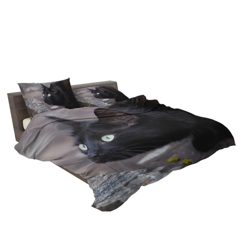 Cat Mysterious Gaze Bedding Set 2