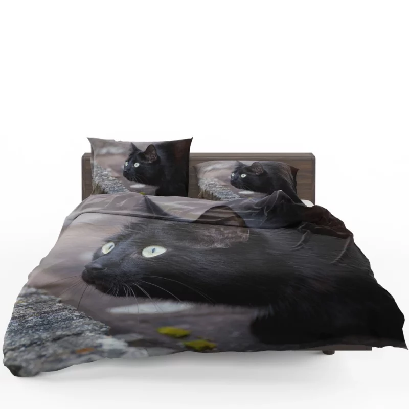 Cat Mysterious Gaze Bedding Set