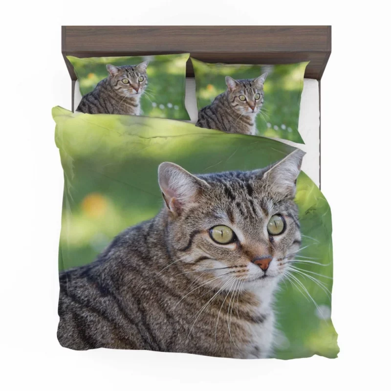 Cat Mysterious Gaze Bokeh Beauty Bedding Set 1