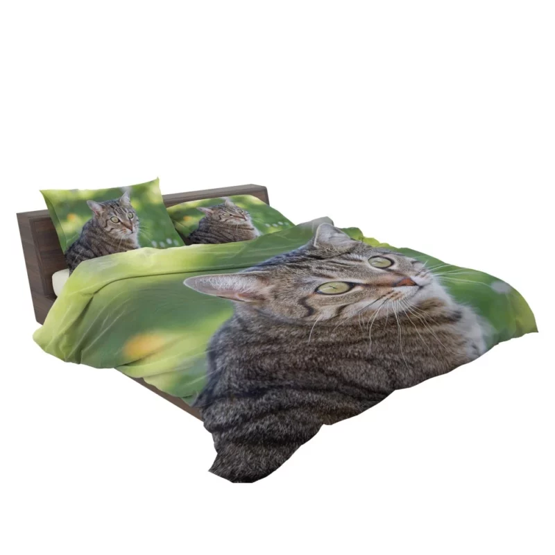 Cat Mysterious Gaze Bokeh Beauty Bedding Set 2