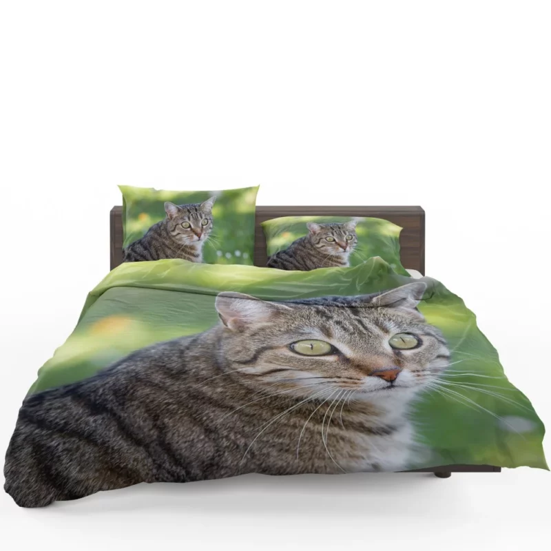 Cat Mysterious Gaze Bokeh Beauty Bedding Set