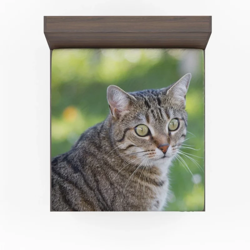 Cat Mysterious Gaze Bokeh Beauty Fitted Sheet 1