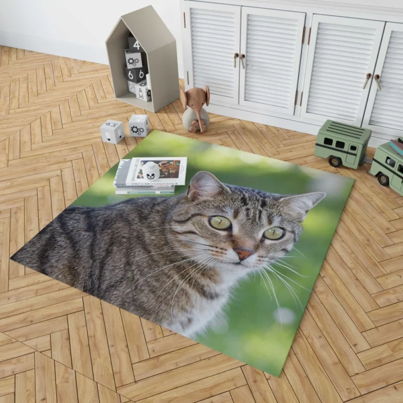 Cat Mysterious Gaze Bokeh Beauty Rug 1