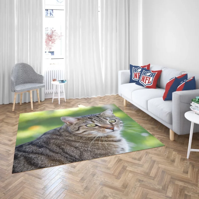 Cat Mysterious Gaze Bokeh Beauty Rug 2