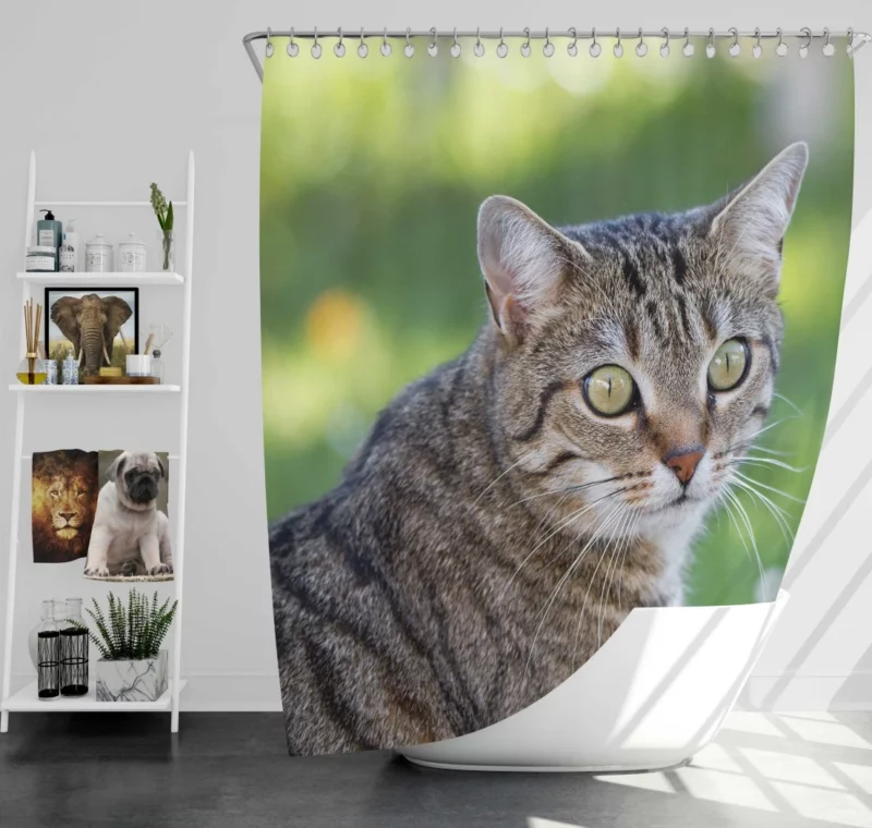 Cat Mysterious Gaze Bokeh Beauty Shower Curtain