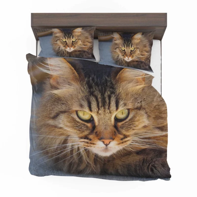 Cat Mysterious Gaze Captivating Eyes Bedding Set 1