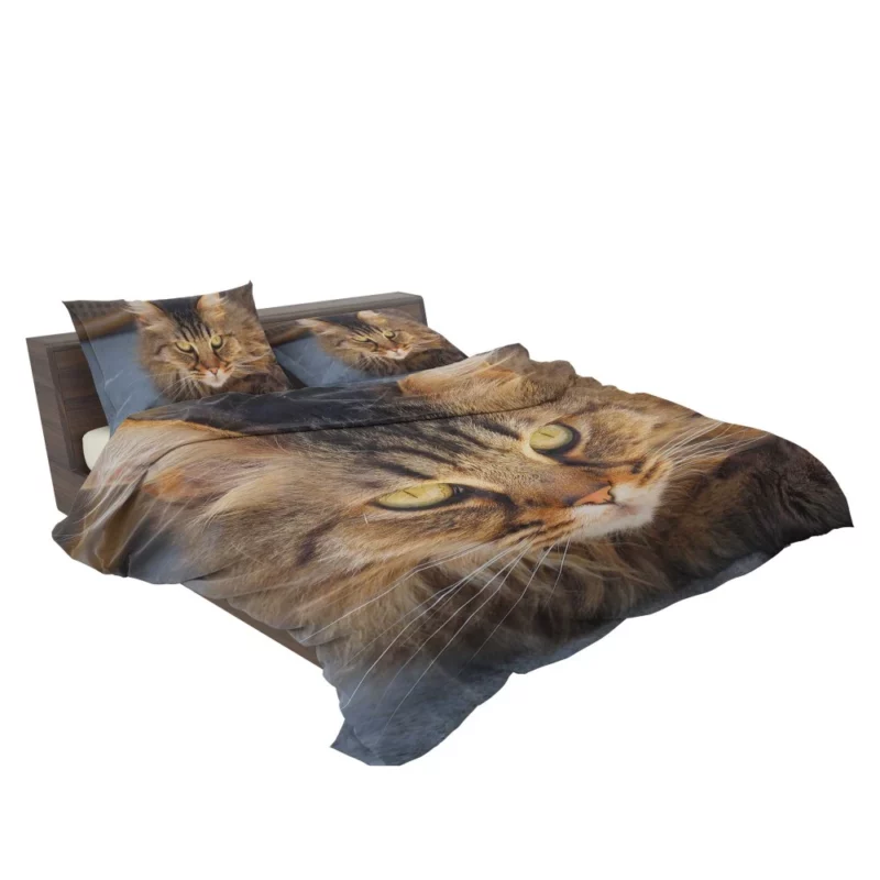 Cat Mysterious Gaze Captivating Eyes Bedding Set 2