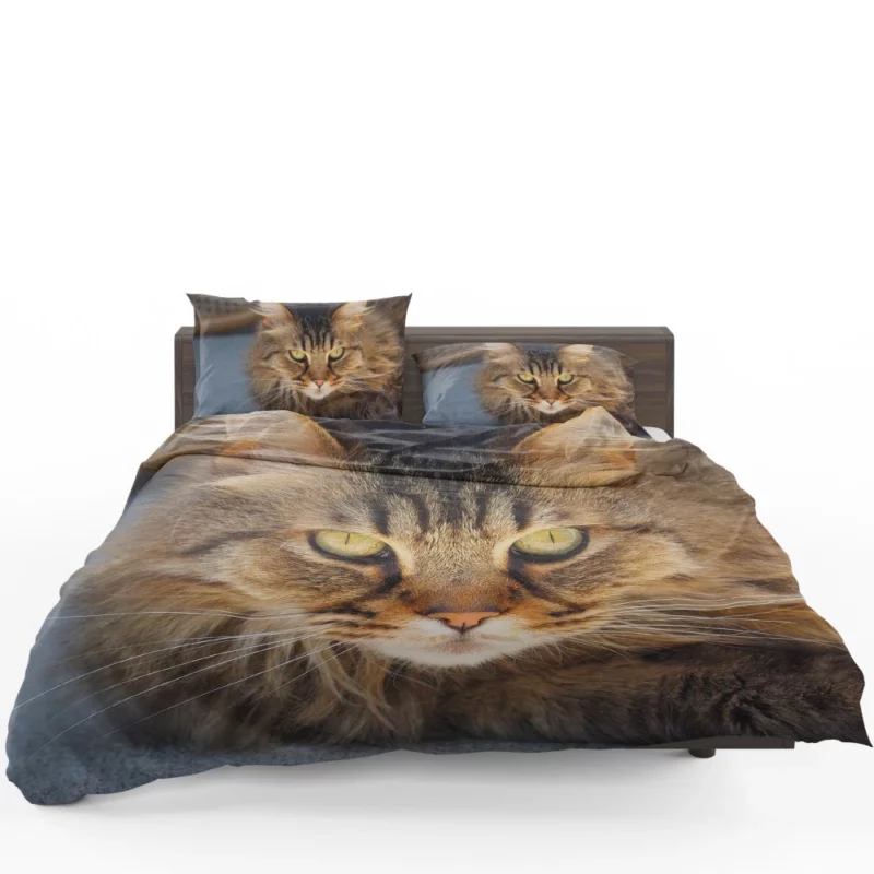 Cat Mysterious Gaze Captivating Eyes Bedding Set