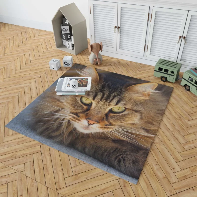 Cat Mysterious Gaze Captivating Eyes Rug 1