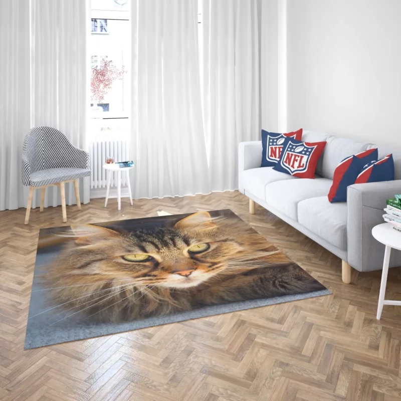 Cat Mysterious Gaze Captivating Eyes Rug 2