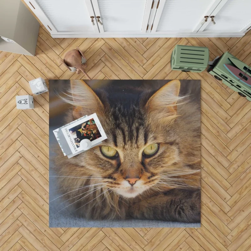 Cat Mysterious Gaze Captivating Eyes Rug